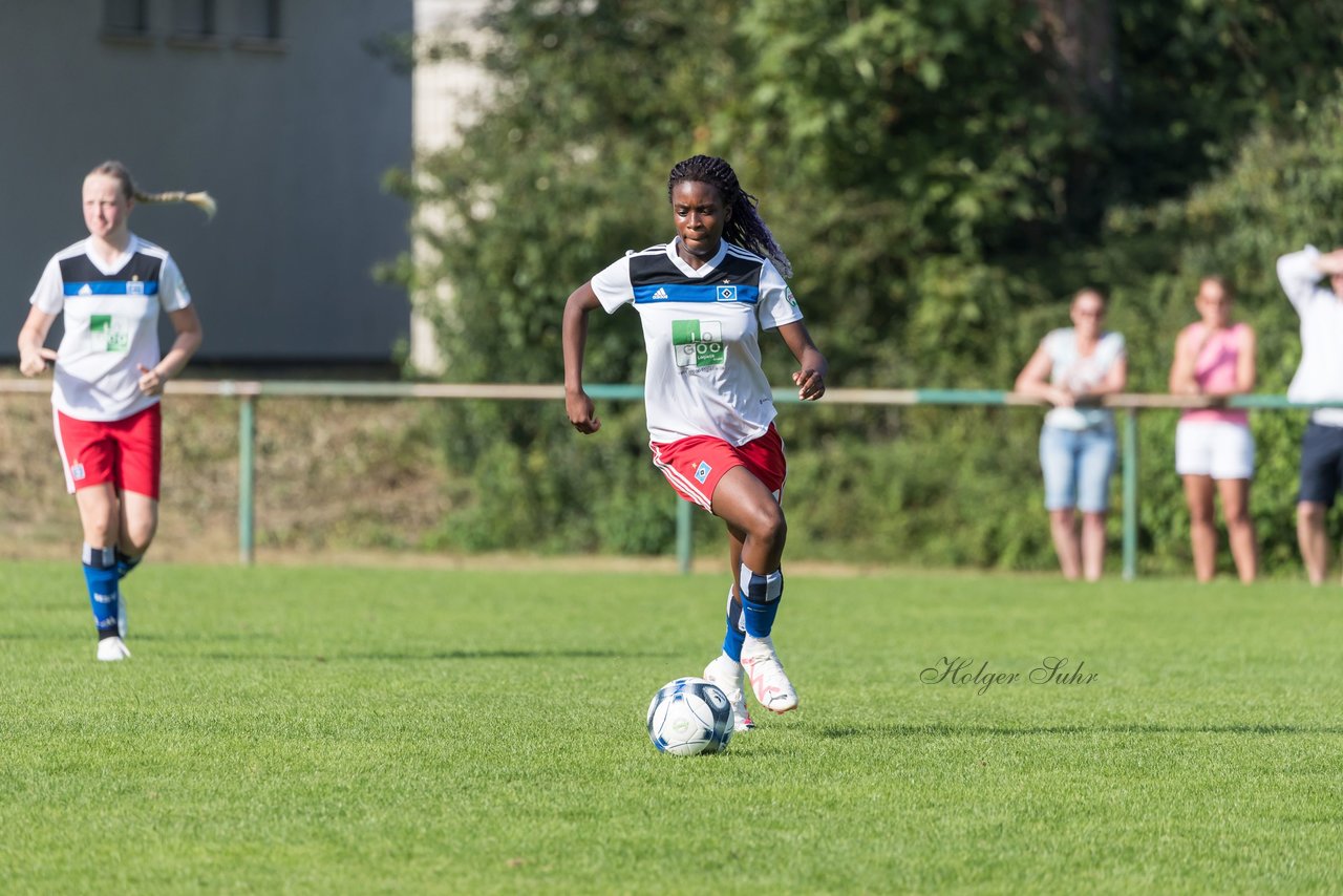 Bild 128 - wBJ VfL Pinneberg - Hamburger SV 2 : Ergebnis: 1:3